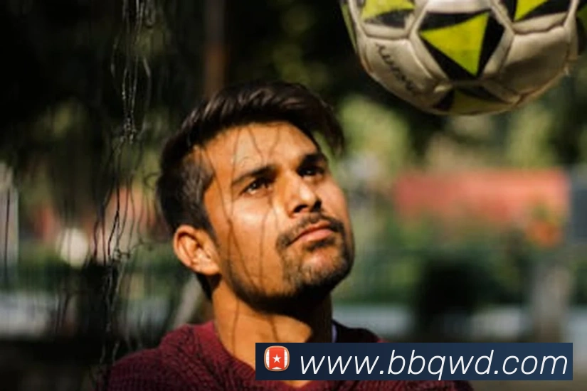 问鼎娱乐平台生态图