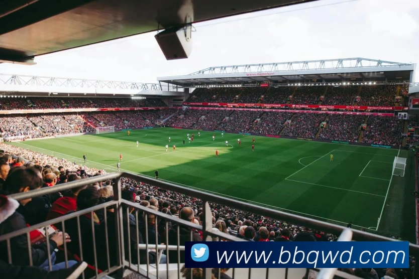 问鼎娱乐APP 封面图